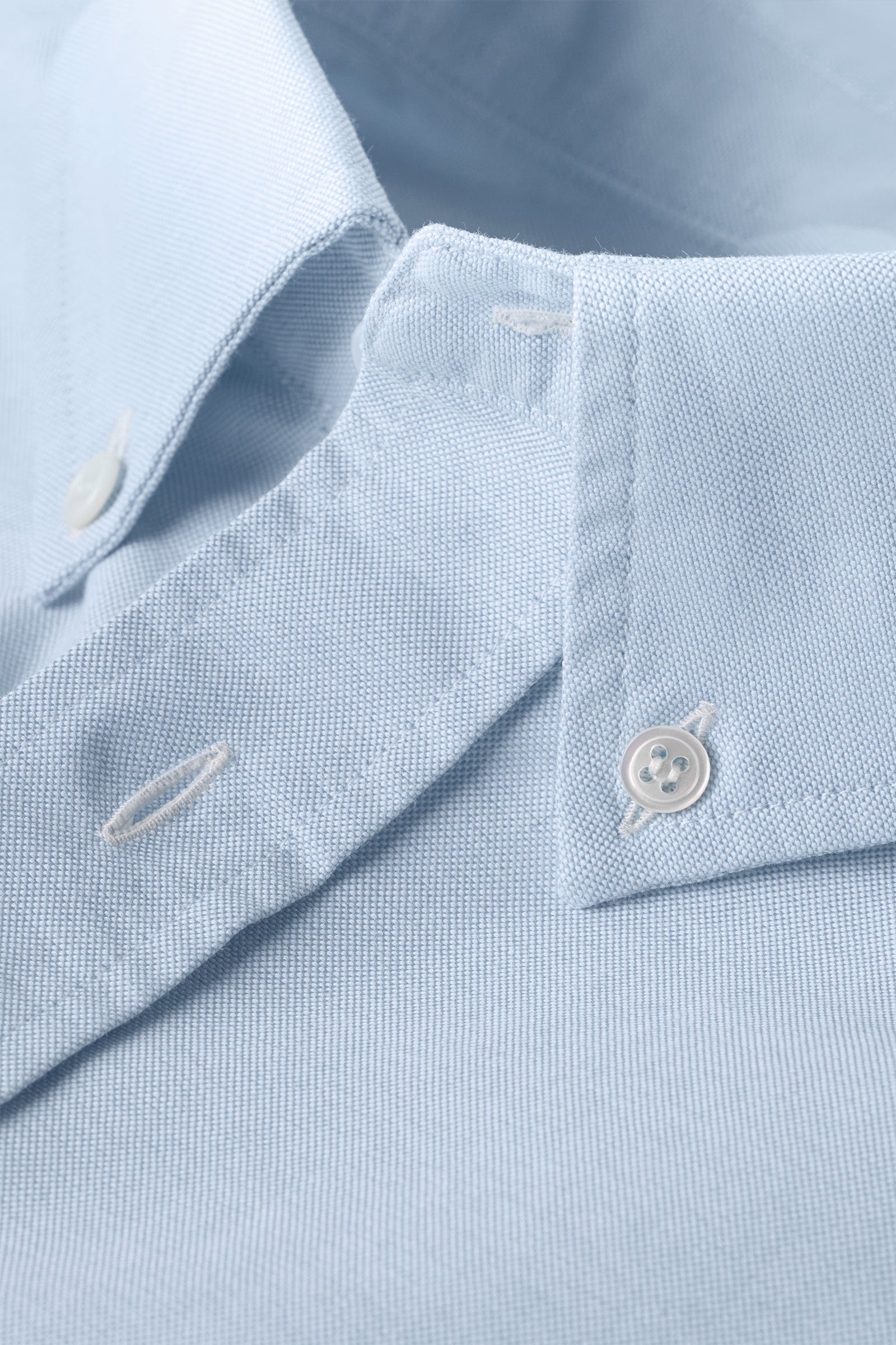 Beefy Cotton Oxford - Light Blue