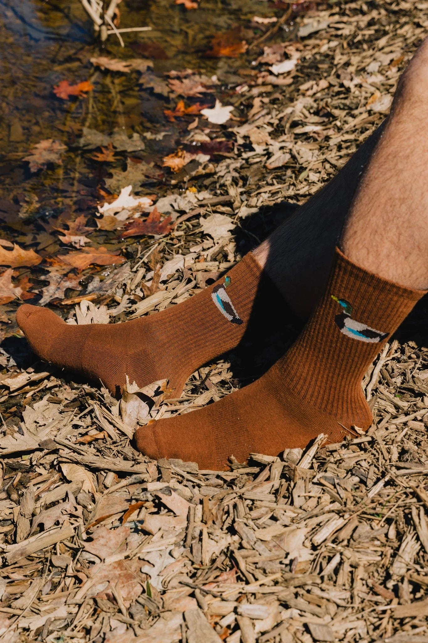 What the Duck Sock - Brown