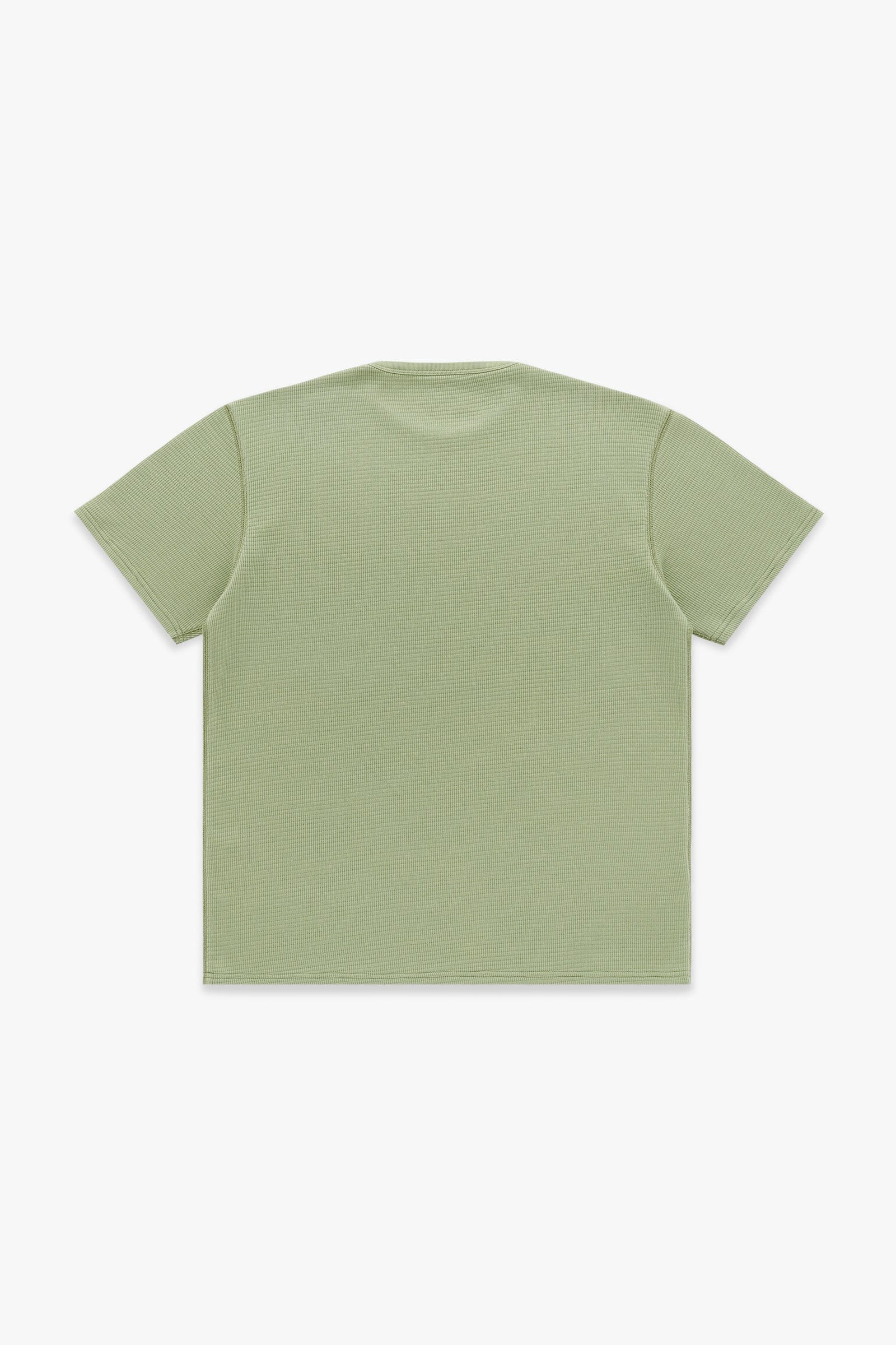 Box Knit T-Shirt - Green